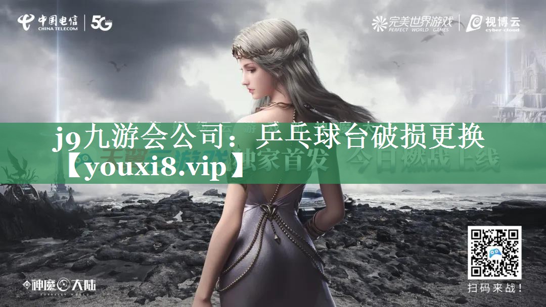 乒乓球台破损更换
